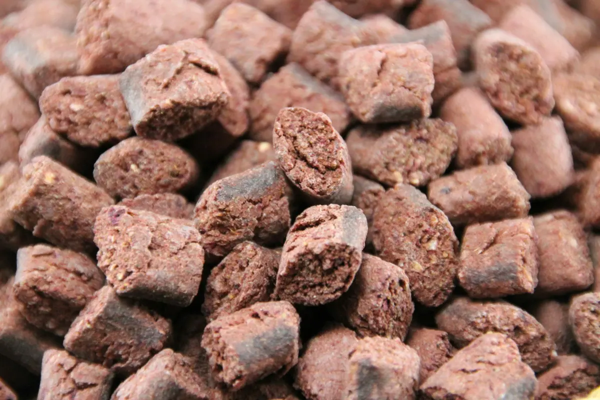 Insekten Minis - Belohnung und Trainingsleckerlie für Hunde