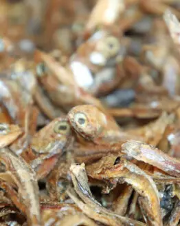 Sprotten Fisch Kauartikel